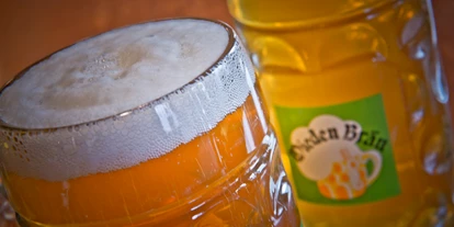 Essen-gehen - Sitzplätze im Freien - Wien Wieden - Wieden Bräu