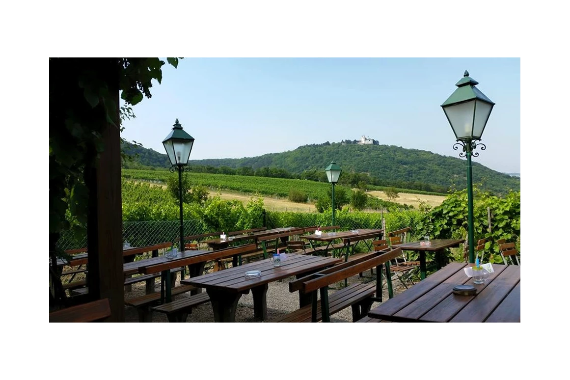 Restaurant: Terrasse mit wunderschönen Wien/Donau Ausblick bei Heuriger Sirbu -  Heuriger Sirbu