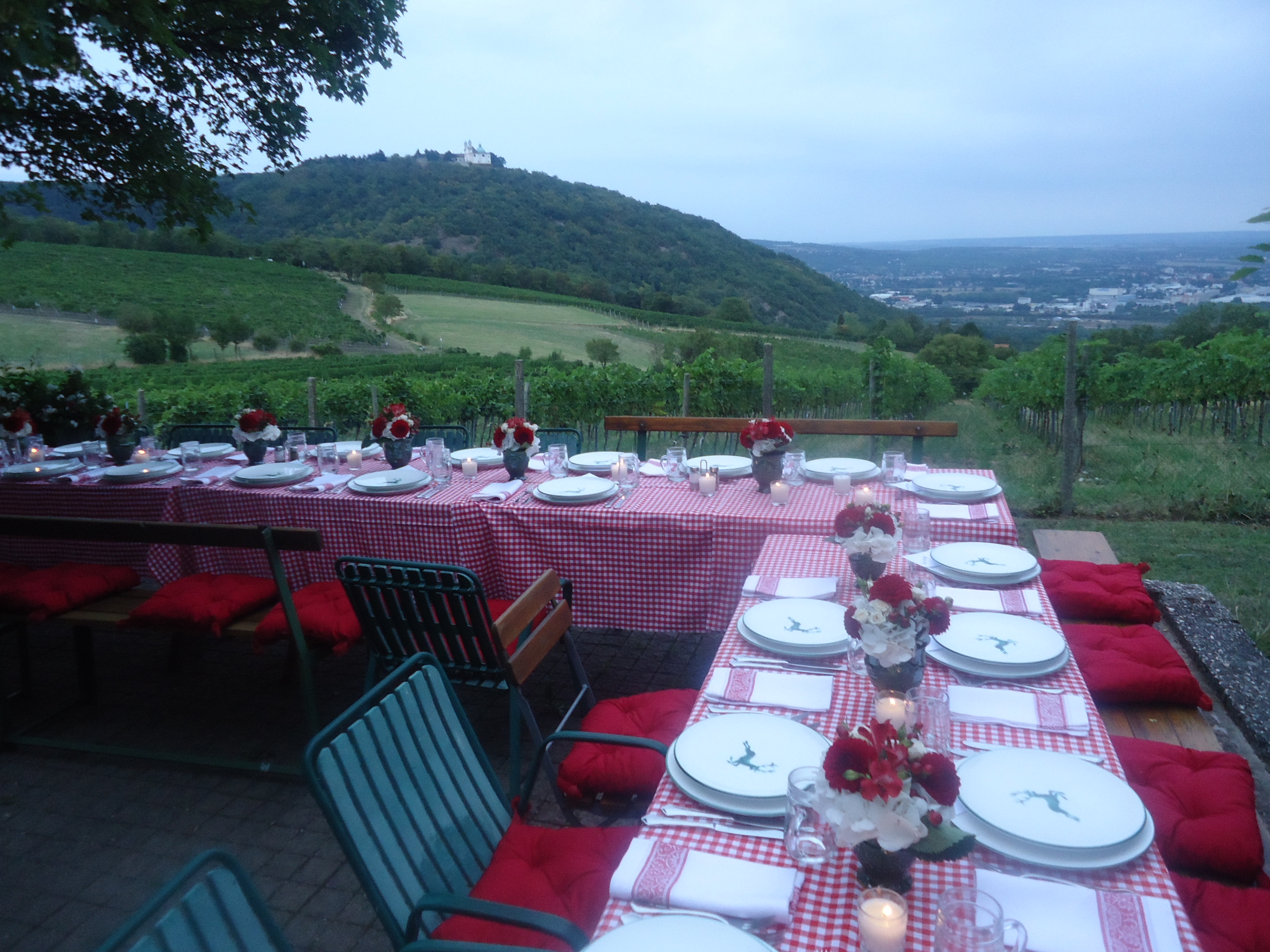 Essen-gehen - grüner Gastgarten - Wien Mariahilf - Winzerhaus & Terrasse  mit wunderschönen Wien/Donau Ausblick bei Heuriger Sirbu  -  Heuriger Sirbu