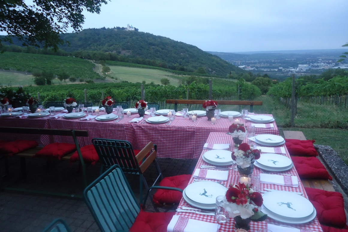 Restaurant: Winzerhaus & Terrasse  mit wunderschönen Wien/Donau Ausblick bei Heuriger Sirbu  -  Heuriger Sirbu