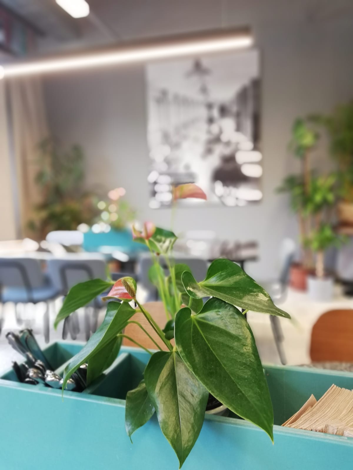 Essen-gehen - Oberösterreich - Porzellanladen