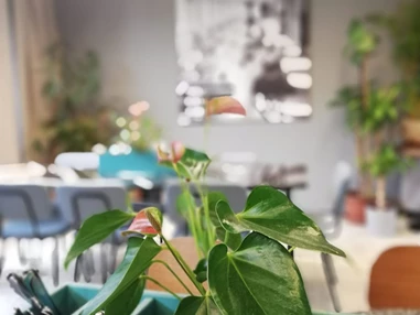 Restaurant: Porzellanladen