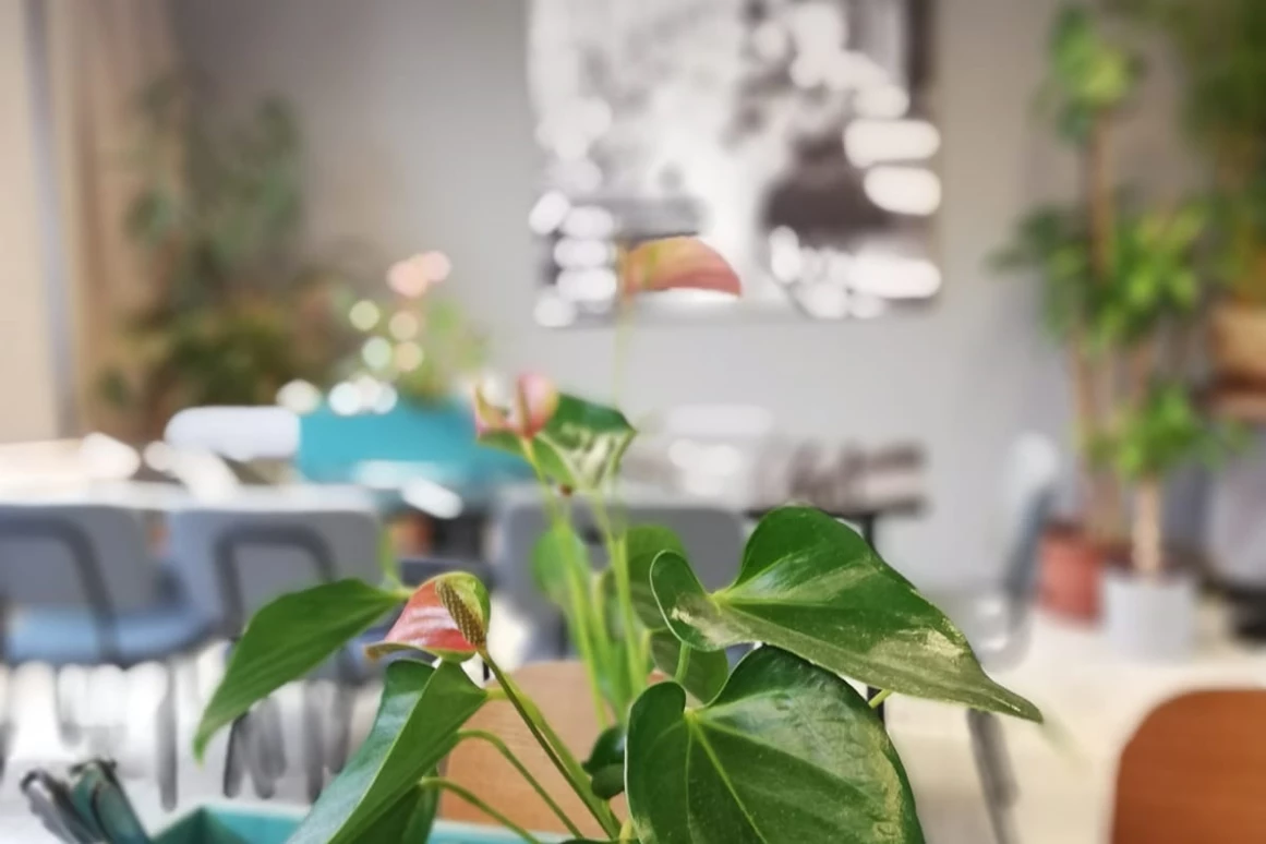 Restaurant: Porzellanladen