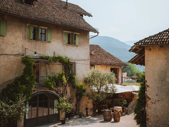 Restaurant: Restaurant Panholzer