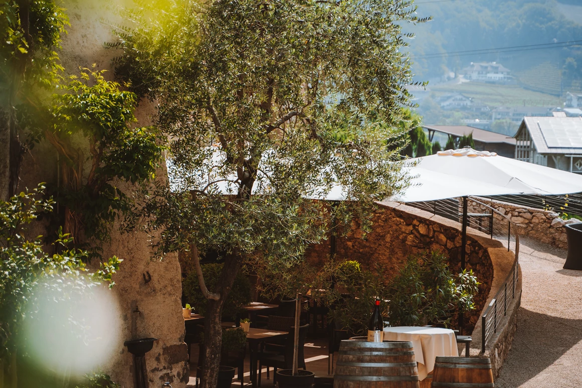 Restaurant: Restaurant Panholzer