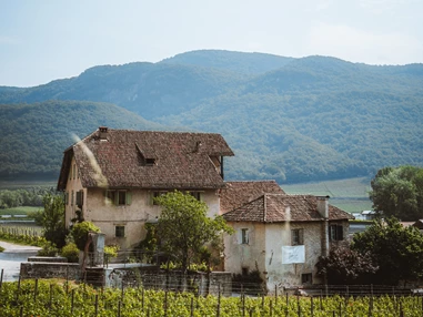 Restaurant: Restaurant Panholzer