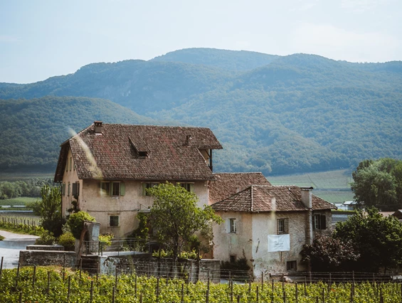 Restaurant: Restaurant Panholzer