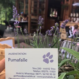 Restaurant: Pumafalle
