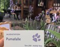 Restaurant: Pumafalle