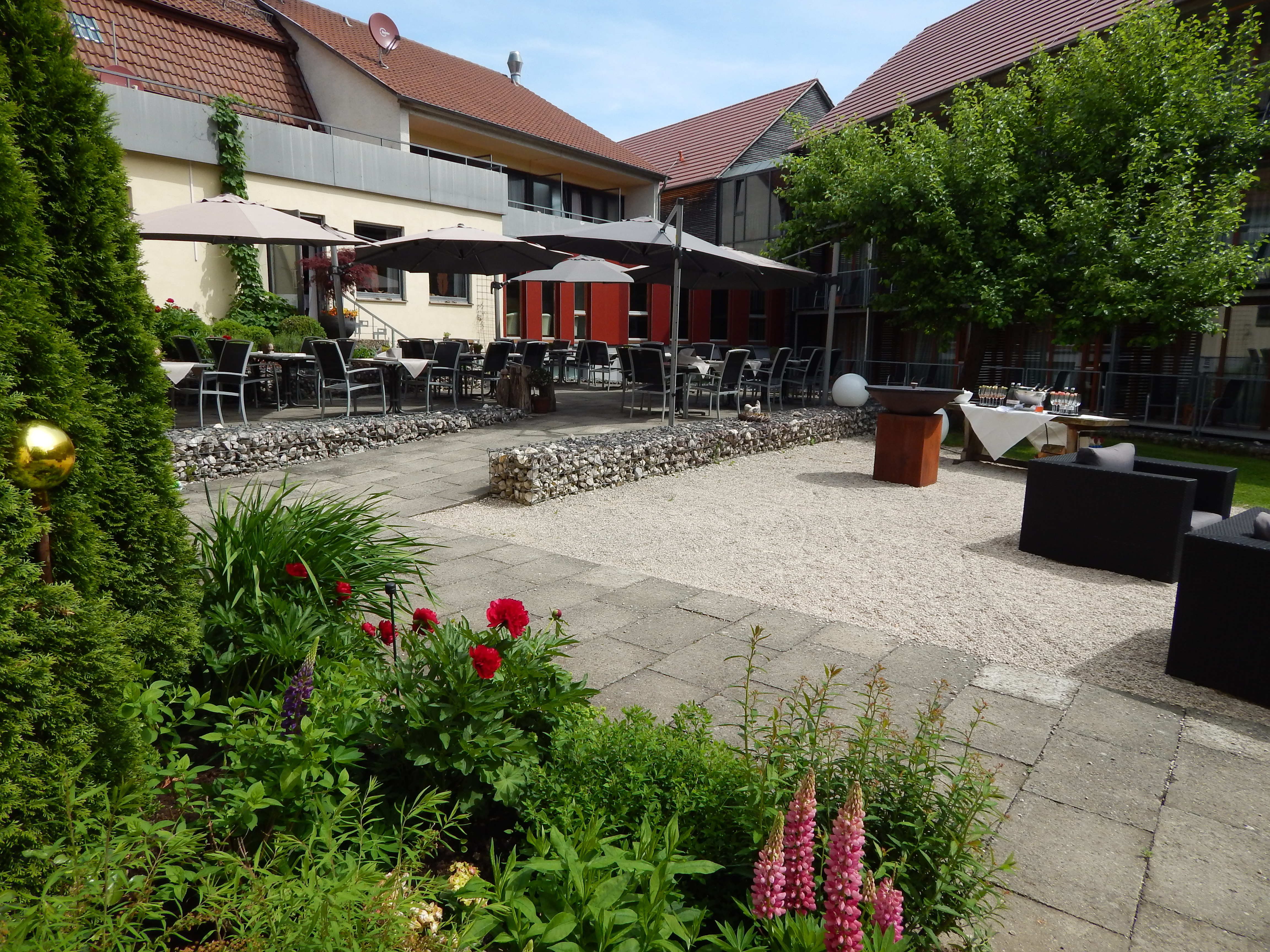 Essen-gehen - Gerichte: Fisch - BrauGarten - Speidel´s BrauManufaktur - Gasthof Lamm